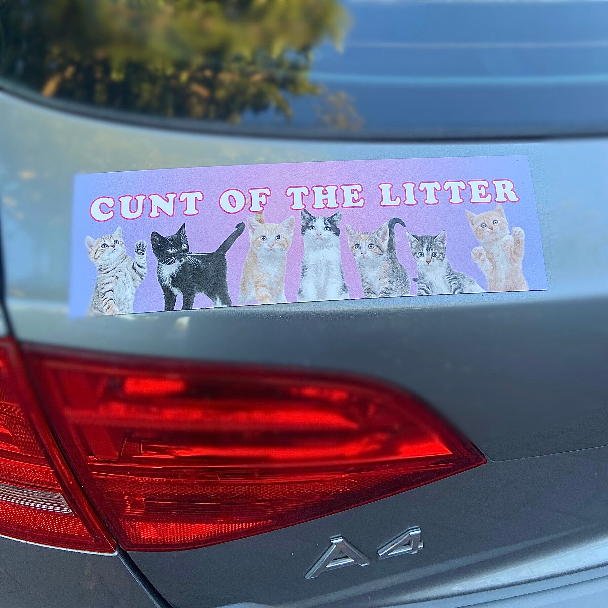 Magnetic Bumper Sticker that says cunt of the litter in white writing featuring a bunch of different coloured kittens. Shop Feminist Trash for funny bumper stickers and feminist clothing