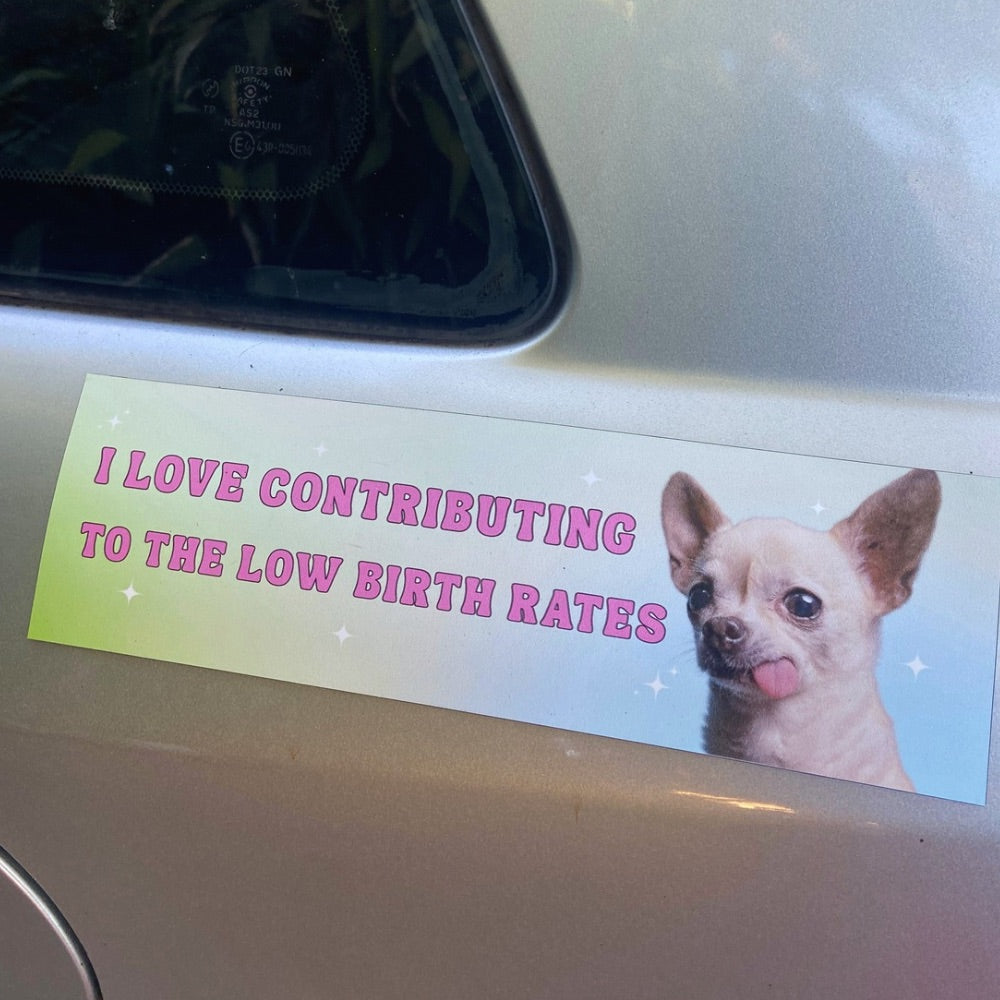 funny feminist bumper sticker that says i love contributing to the low birth rates in pink retro writing featuring a photo of a Chihuahua with its tongue sticking out- shop feminist trash store for feminist bumper magnets, political clothes and feminist apparel