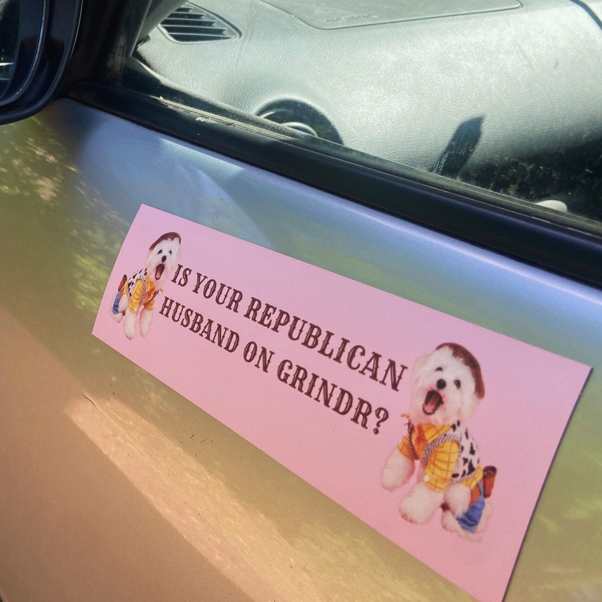 Pink cat magnet that says is your republican husband on Grindr? Featuring white fluffy dogs wearing a cowboy outfit- shop feminist trash for feminist and political car accessories
