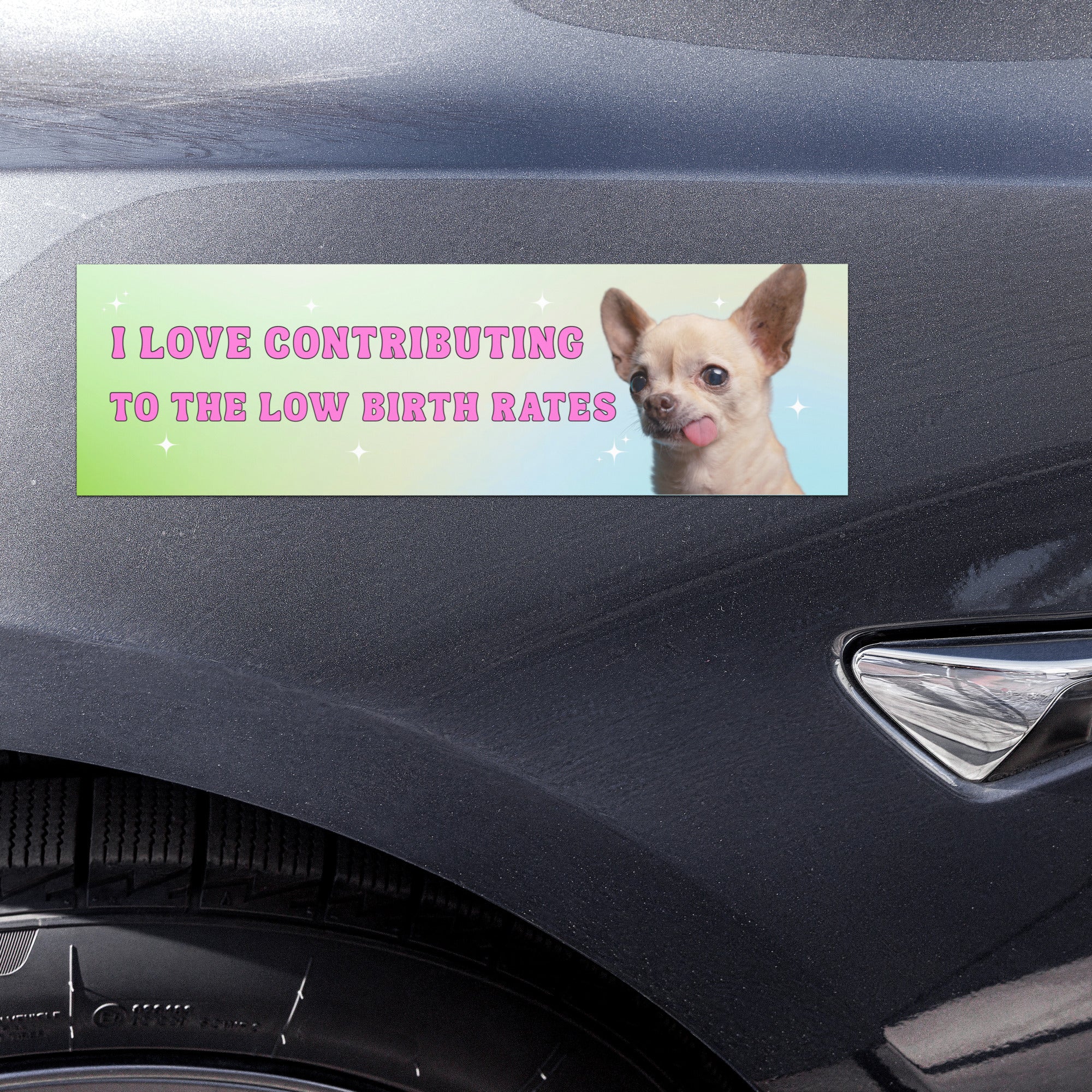 funny feminist bumper sticker that says i love contributing to the low birth rates in pink retro writing featuring a photo of a Chihuahua with its tongue sticking out- shop feminist trash store for feminist bumper magnets, political clothes and feminist apparel