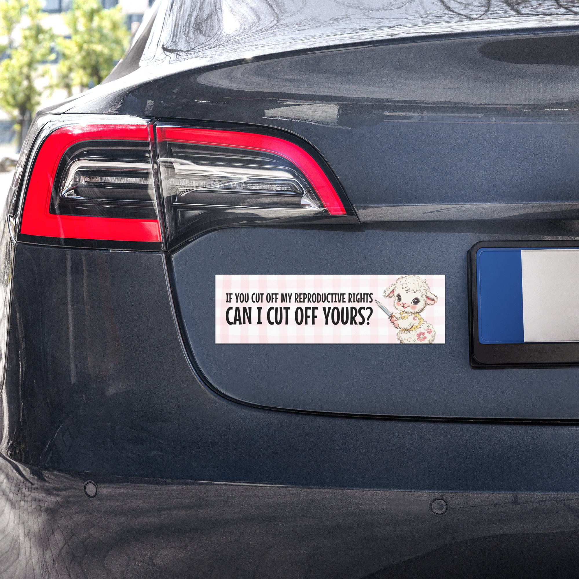 pink car magnet that says if you cut off my reproductive rights can i cut off yours- shop feminist trash store for feminist bumper stickers, political tshirts and pride merch