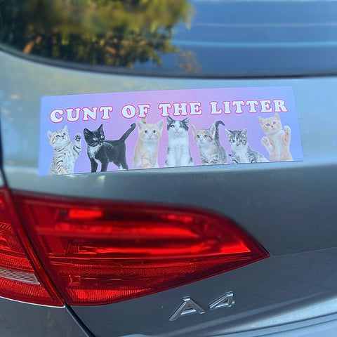 Magnetic Bumper Sticker that says cunt of the litter in white writing featuring a bunch of different coloured kittens. Shop Feminist Trash for funny bumper stickers and feminist clothing