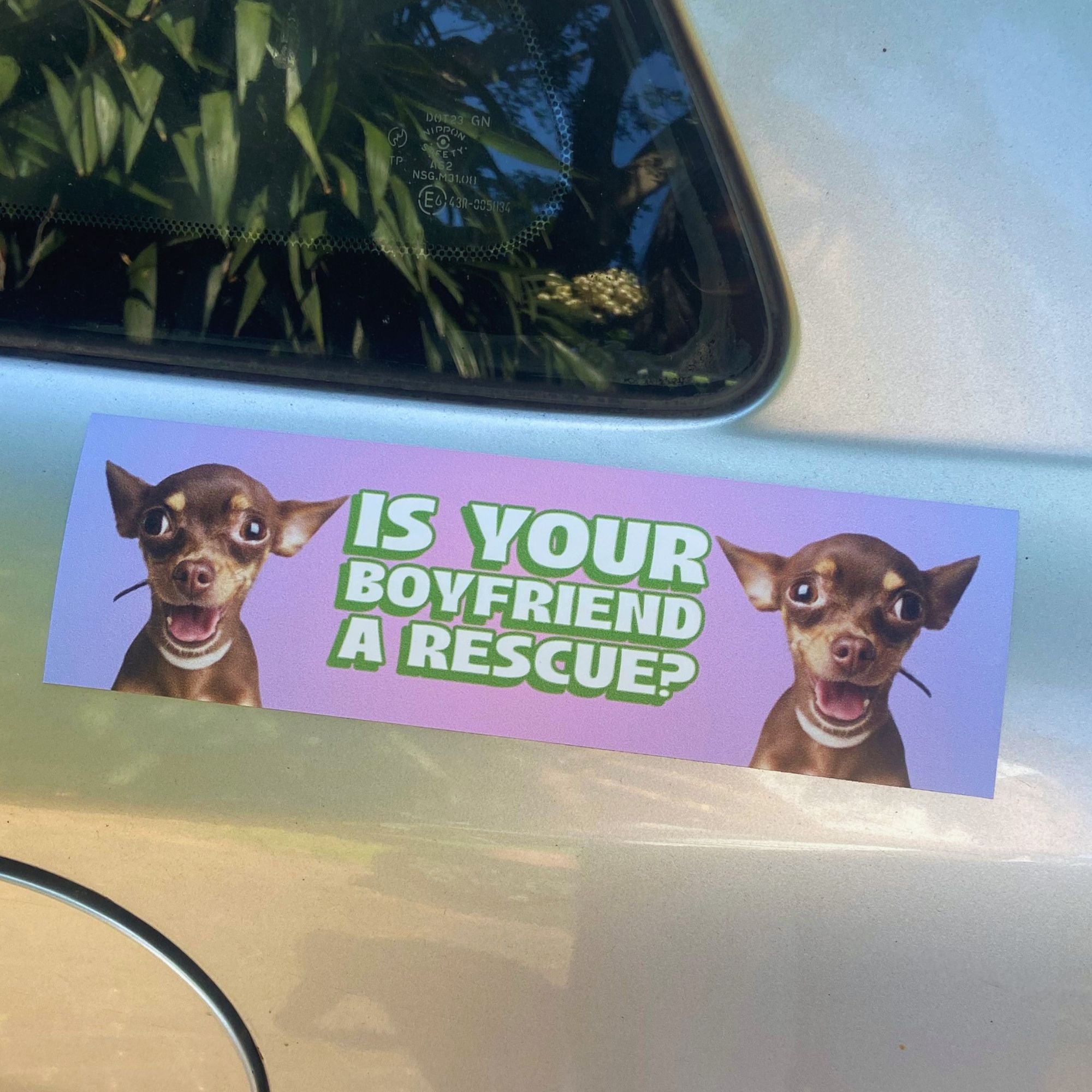Funny magnetic bumper sticker that says is your boyfriend a rescue? Shop feminist trash for feminist and political bumper stickers 